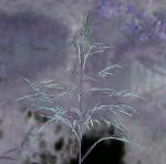 Mythical Dark Poetry and Prose Book Three