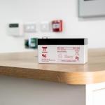 Yuasa NP1.2-12 12V Lead Acid Battery