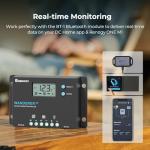 Renogy Wanderer 10A Solar Charge Controller