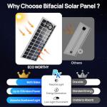 ECO-WORTHY 195W Bifacial 12V Solar Panel