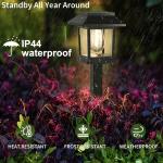 Solar LED Outdoor Stake Lights for Garden Path