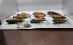 Vintage Wooden and Plastic Fishing Lure Set