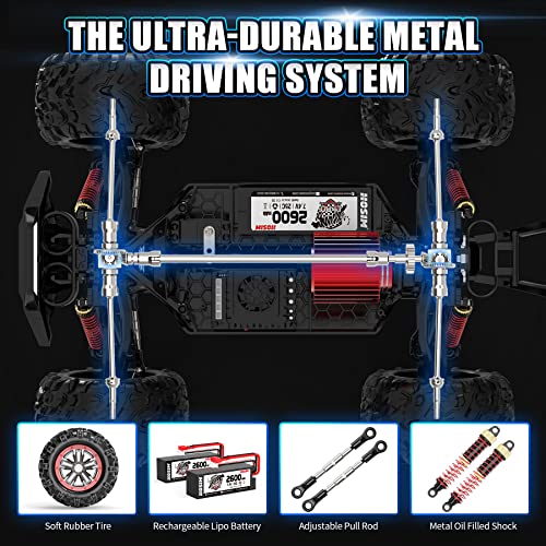 Hosim High Speed Brushless RC Car