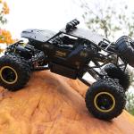 4WD RC Monster Truck with 2 Batteries