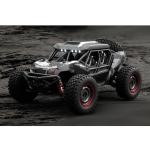SCY 16106 1/16 AWD Remote Control Desert Truck