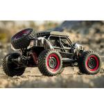 SCY 16106 1/16 Remote Control Desert Truck