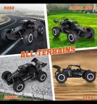 1:16 Remote Control Desert Buggy Off-Road Truck