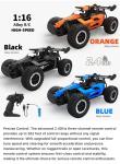 1:16 Remote Control Desert Buggy Off-Road Truck