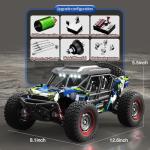 1/16 Brushless Fast RC Desert Car - 37mph