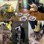 Colorful Pom Pom Cone Party Hats Set