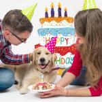 2 Giant 39" Happy Birthday Cake Foil Balloons