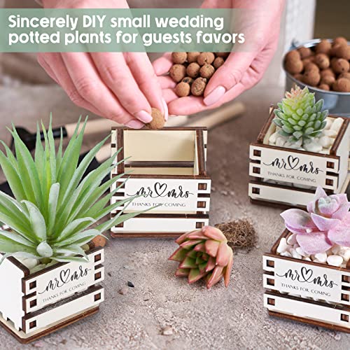 Mini Succulent Pot Wedding Card Box Set