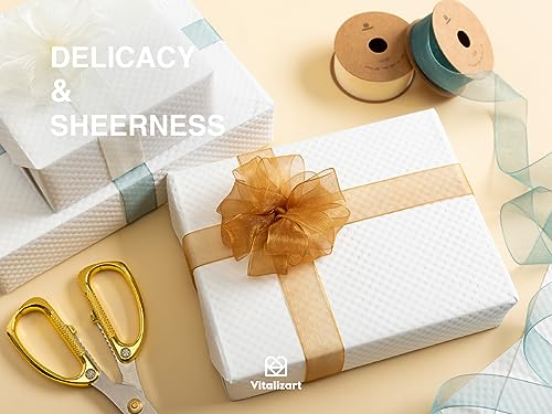 Colorful Organza Ribbon Set for Scrapbooking & Crafts