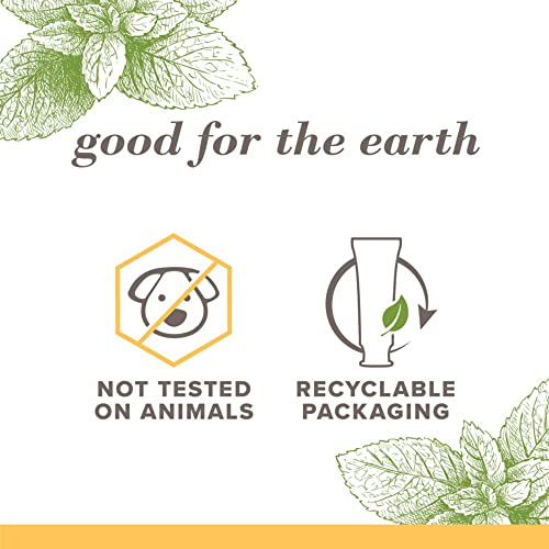 Burt's Bees Fluoride-Free Natural Toothpaste - Zen Peppermint