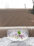 Clear Round Glass Bowl for Home Decor and Candles