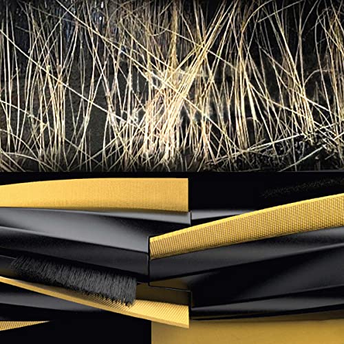 Shark IQ Robot Vacuum with Self-Emptying Feature