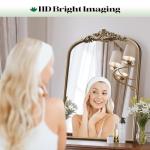 Vintage Baroque Arched Wall Mirror in Antique Gold