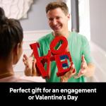 LEGO Art Love Collectible Building Set for Adults