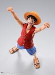 One Piece Monkey D. Luffy Action Figure