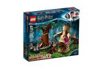 LEGO Harry Potter Umbridge’s Encounter Figurine Set