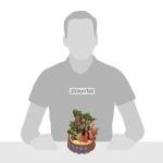 Disney Traditions Jim Shore Jungle Book Figurine