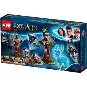 LEGO Harry Potter Expecto Patronum Building Set