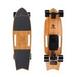 Jking 700W Electric Skateboard with Remote Control