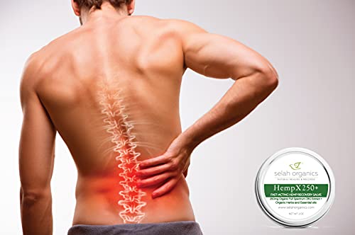 250mg Organic Hemp Salve for Muscle & Joint Relief