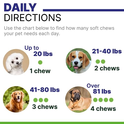 Hemp Chews for Dogs' Joint Pain Relief