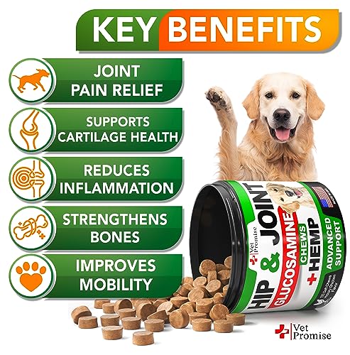 Hemp Joint Support Chews for Dogs with Glucosamine