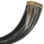 Norse Drinking Horn with Brass Accents & Stand