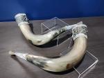 Viking Celtic Norse Dual Drinking Horns Set
