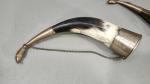 Carved Vintage Drinking Horns with Metal Details