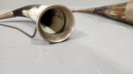 Carved Vintage Drinking Horns with Metal Details