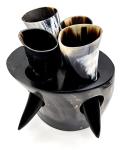 Authentic Viking Drinking Horn Set with Shot Glasses