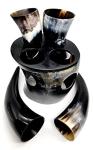 Authentic Viking Drinking Horn Set with Shot Glasses