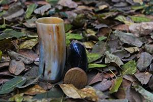 Viking Drinking Horn Shot Cups - Set of 4