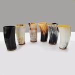 Viking Drinking Horn Shot Cups - Set of 4