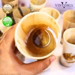 Viking Drinking Horn Cup Set - 10 Unique Tankards