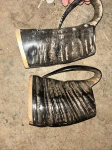 Viking Bull Horn Drinking Mug Tankard Cup