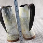 2 Horn Mugs Medieval Viking Drinking Tankard