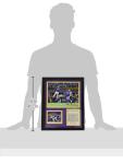 Minnesota Vikings 2018 Miracle Framed Wall Art