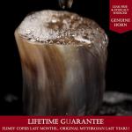 Viking Shot Glass & Mini Horn Cup Set