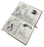 Bork the Bold Dragon Replica Book for Cosplay