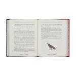 Norse Myths: Epic Tales of Gods and Heroes