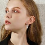 Viking Runes Raven Drop Earrings in Sterling Silver