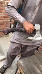 22" Norse Viking Axe - Perfect Gift & Tool