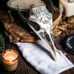 Viking Raven Skull Necklace with Compass Pendant