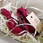 Viking Raven Skull Necklace with Compass Pendant