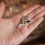 Viking Raven Skull Necklace with Compass Pendant